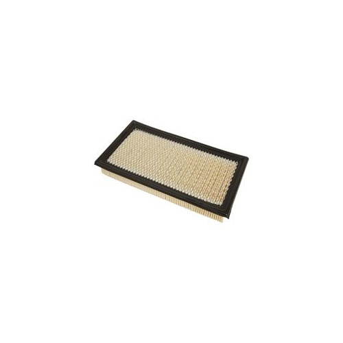 Air Filter 2010-2019 FORD F150 
